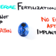 Illustration for article titled This Handy Video Explains How Plan B Works and Why Its Not an Abortion Pill